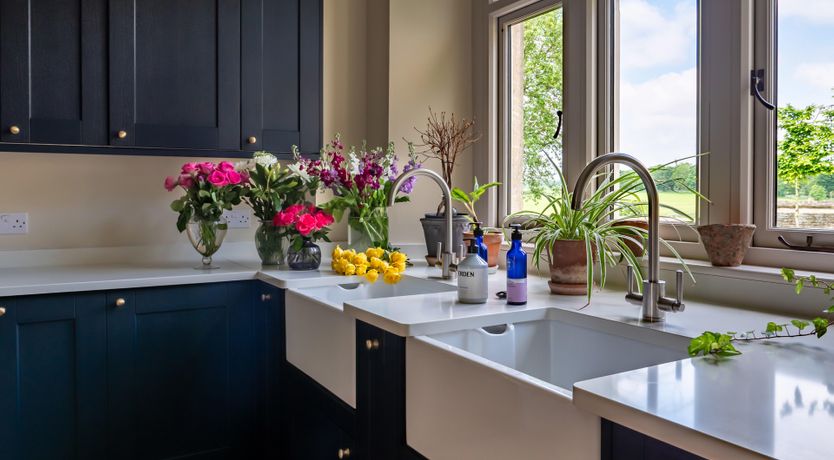 Photo of Light of Honey