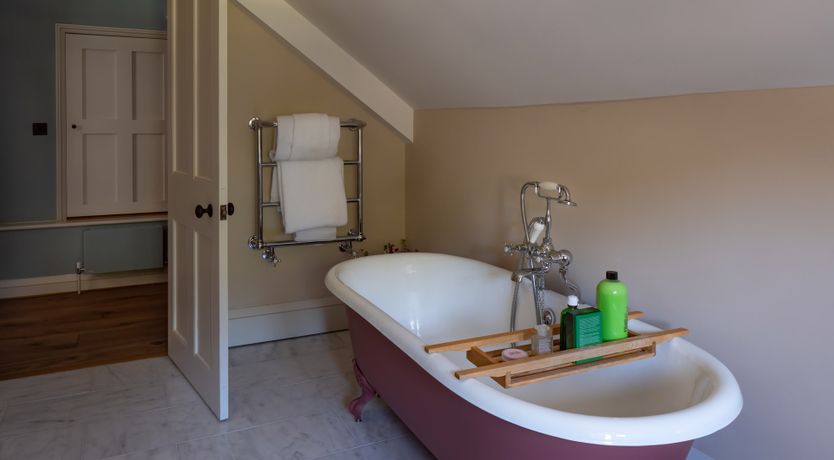 Photo of Light of Honey