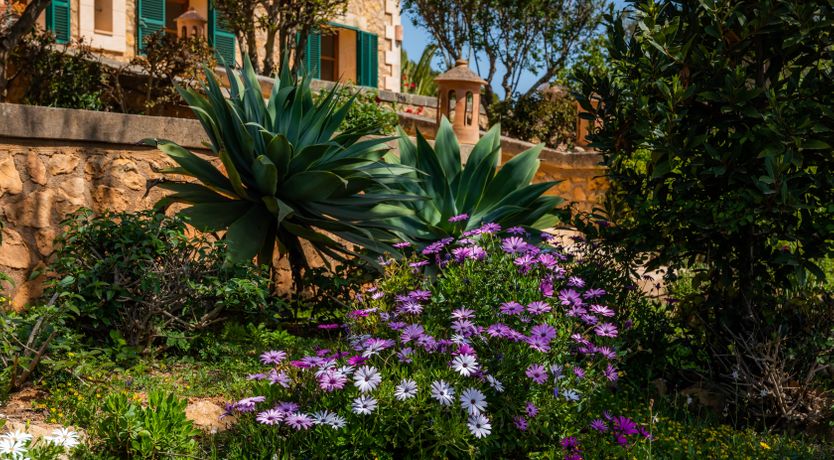 Photo of Garden of Paradise