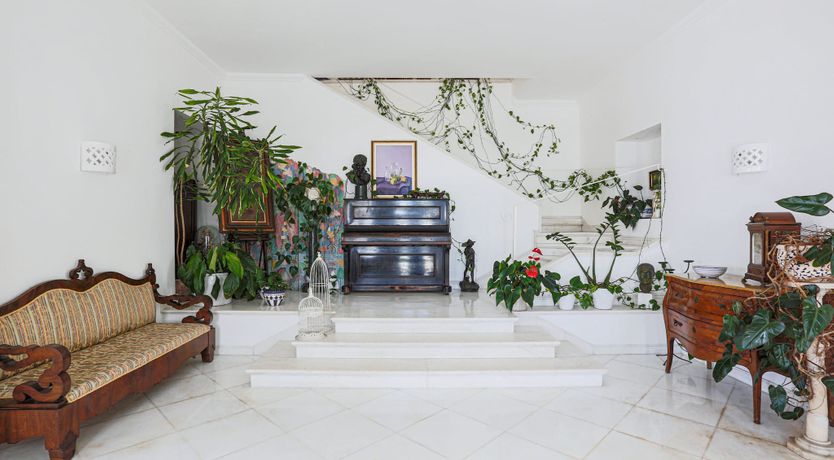 Photo of Beauty of Being