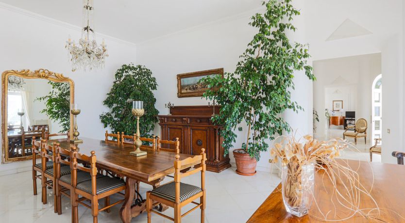 Photo of Beauty of Being