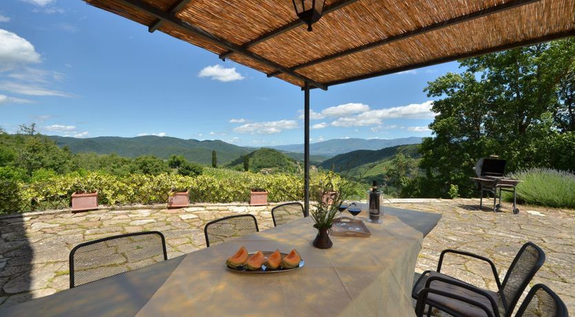 Photo of Vines & Lavender