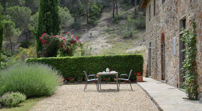 Photo of Vines & Lavender