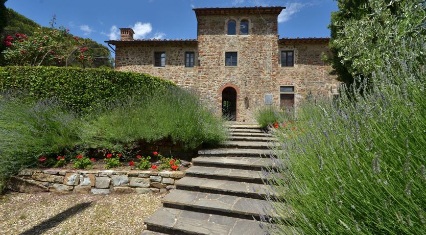 Photo of Vines & Lavender