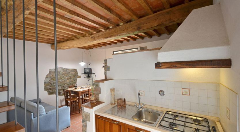 Photo of Vines & Lavender