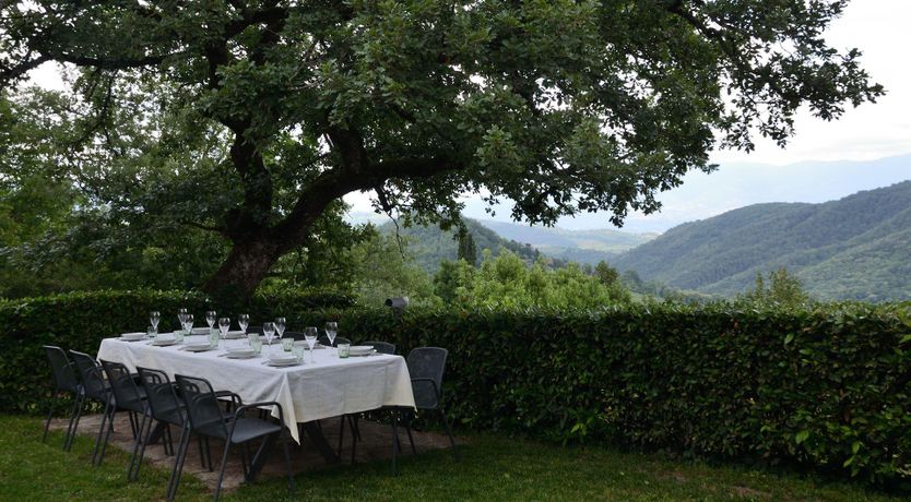 Photo of Vines & Lavender