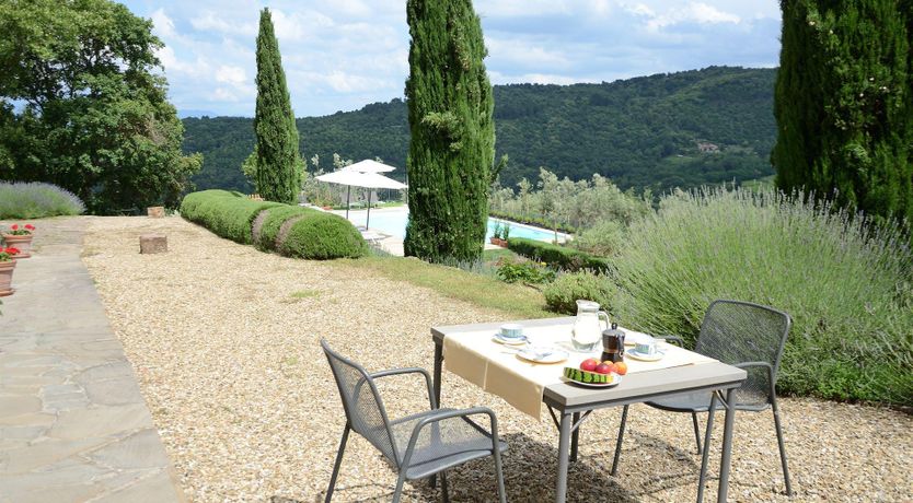 Photo of Vines & Lavender