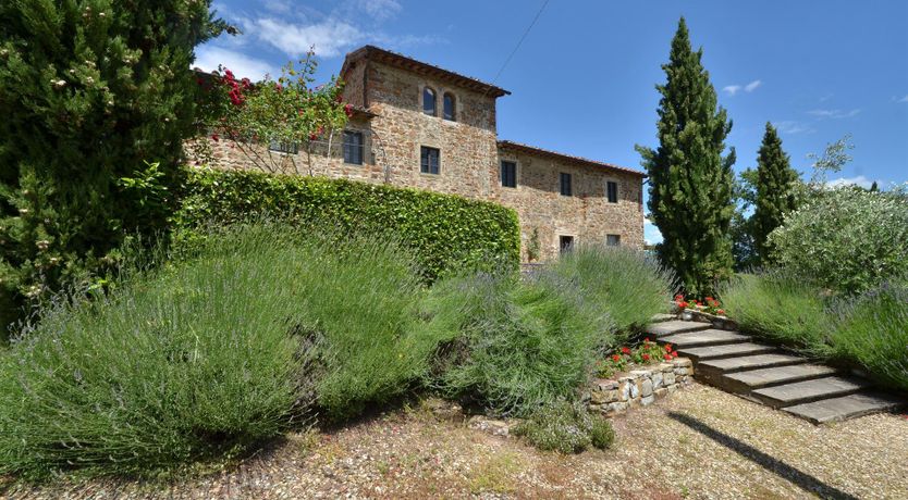 Photo of Vines & Lavender
