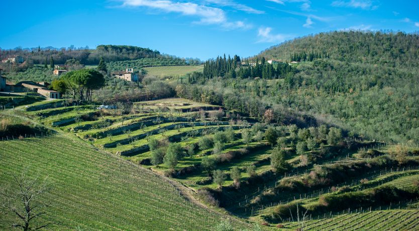 Photo of Tuscan Hilltop