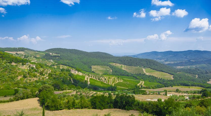 Photo of Chianti Crush