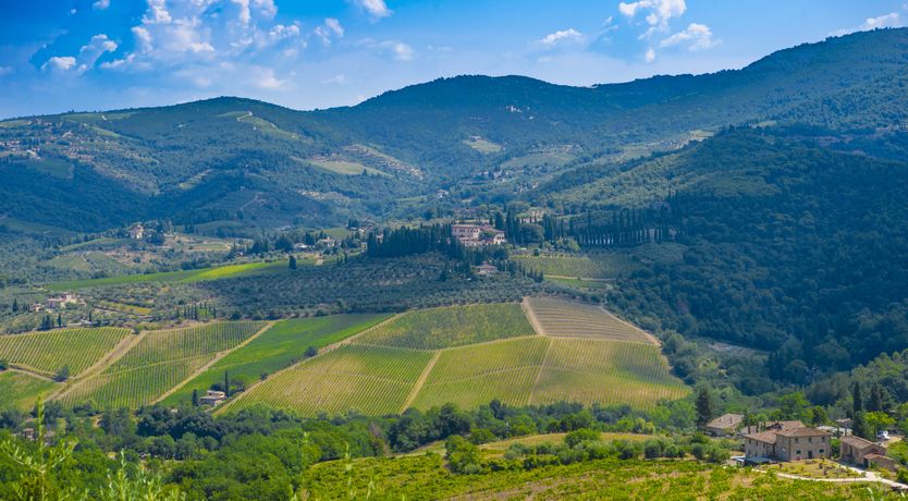 Photo of Chianti Crush