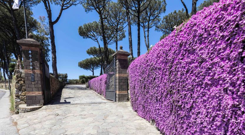 Photo of The Golden Coast