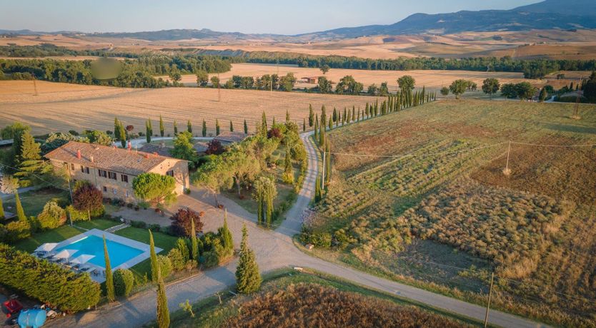 Photo of Sunflower Sunset
