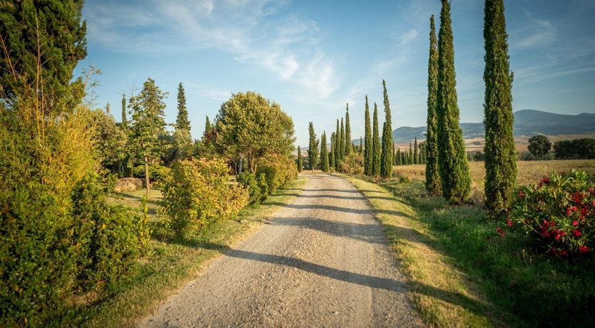 Photo of Sunflower Sunset