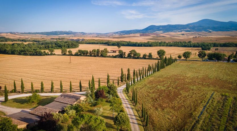 Photo of Sunflower Sunset