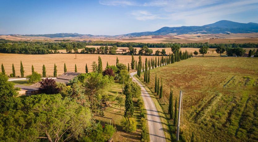 Photo of Sunflower Sunset