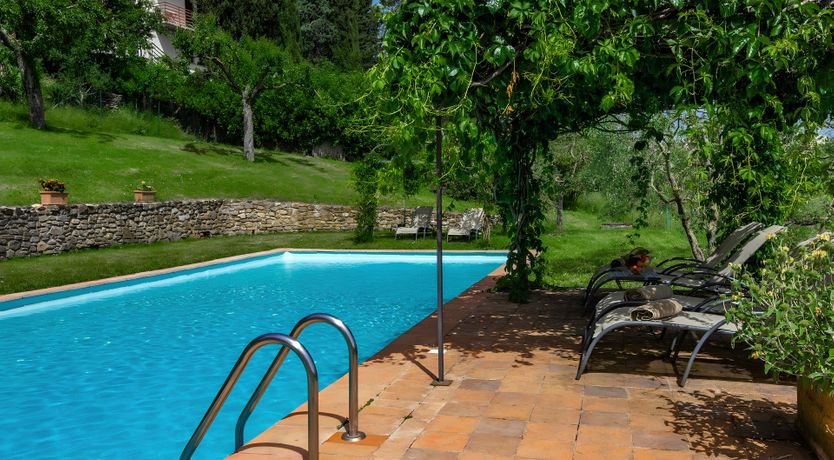 Photo of Tuscan Iris