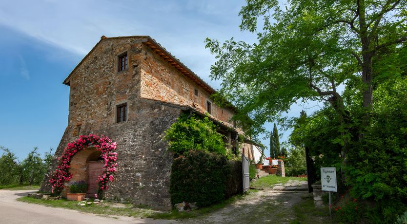Photo of Tuscan Iris