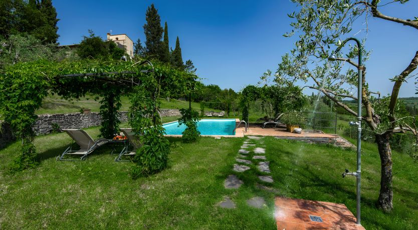 Photo of Tuscan Iris