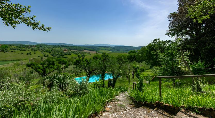 Photo of Tuscan Iris