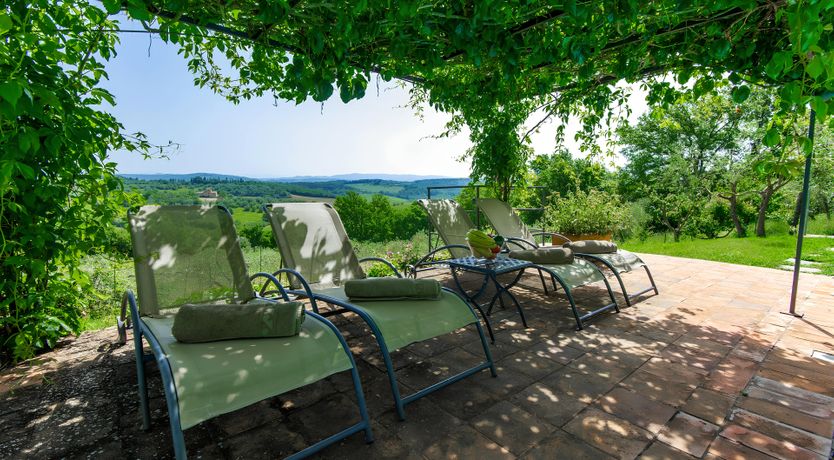 Photo of Tuscan Iris