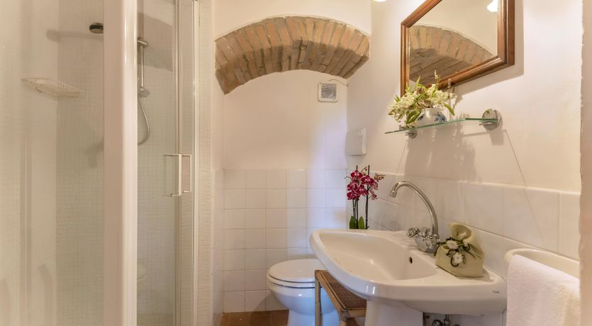 Photo of Tuscan Iris