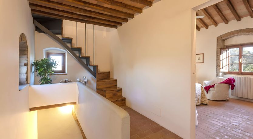 Photo of Tuscan Iris