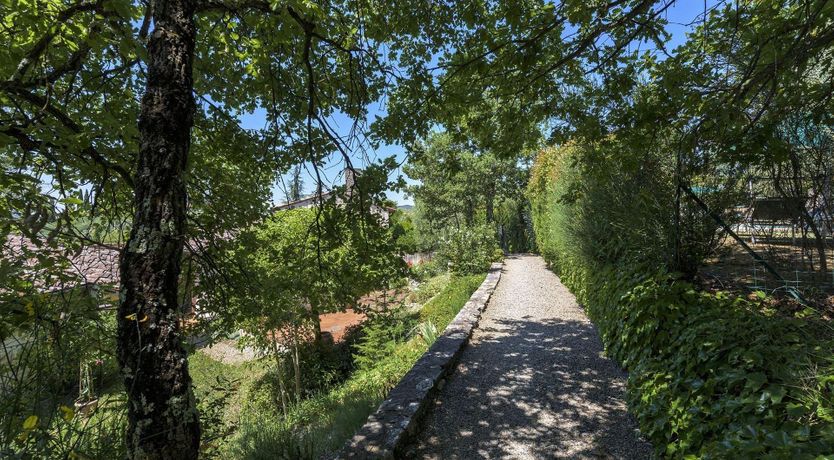 Photo of Chianti Blush