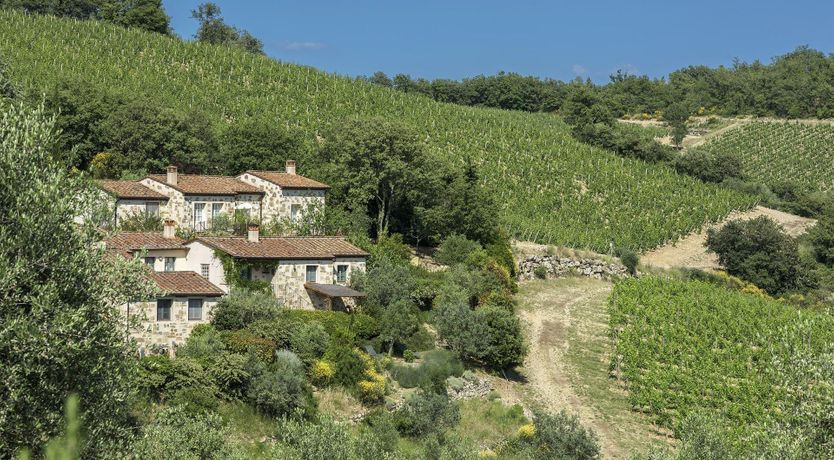 Photo of Chianti Blush