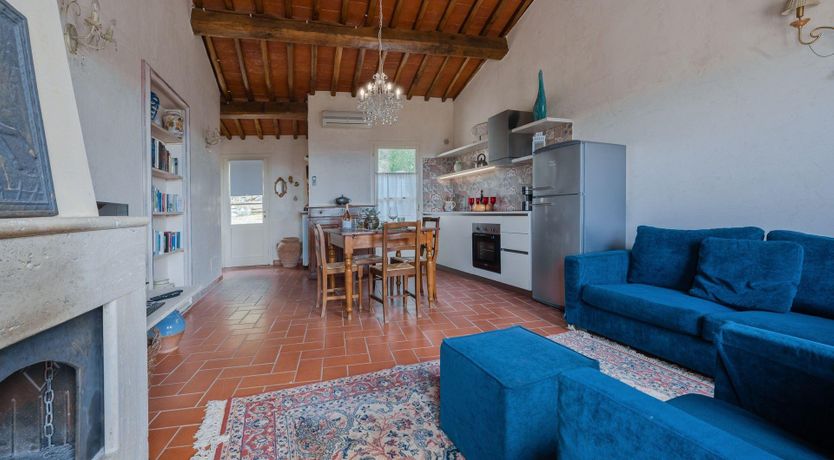 Photo of Chianti Blush