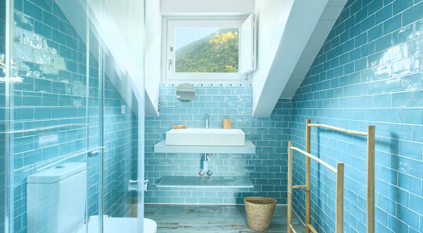 Photo of The Starwatcher