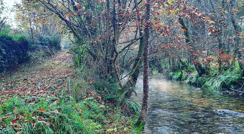 Photo of The Starwatcher