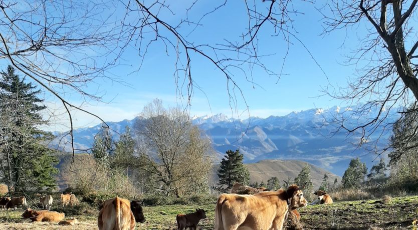 Photo of The Starwatcher