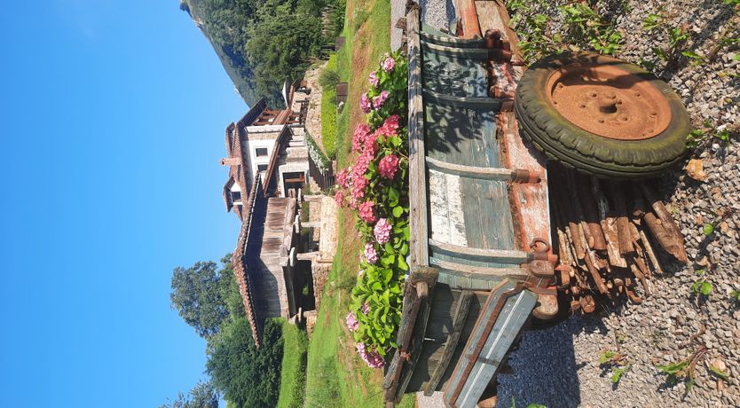 Photo of The Starwatcher