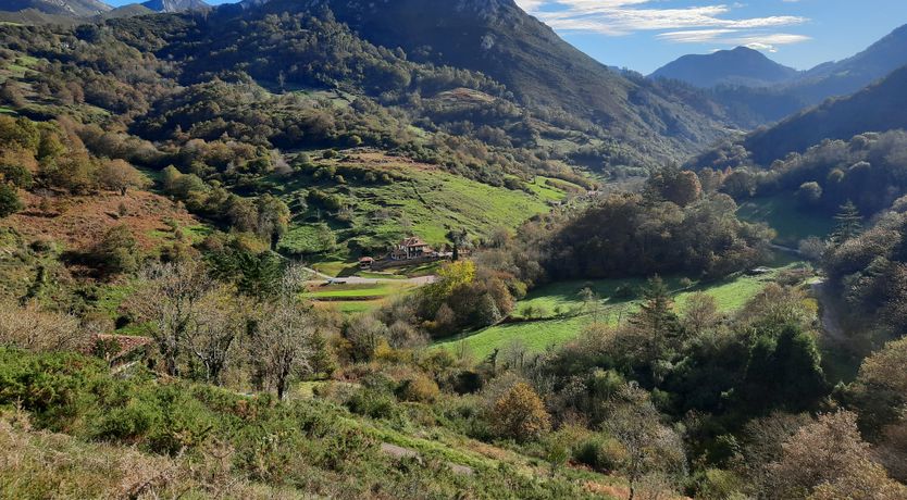 Photo of The Starwatcher