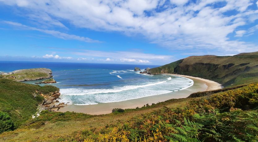 Photo of The Starwatcher