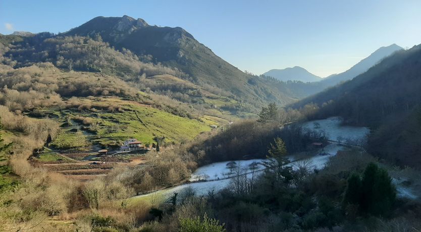 Photo of The Starwatcher