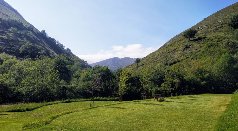 Photo of The Starwatcher