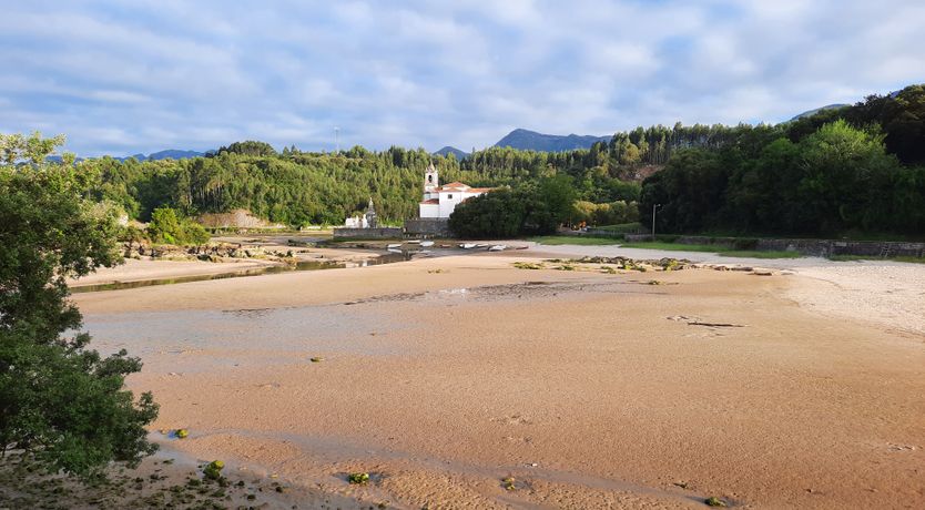 Photo of The Starwatcher