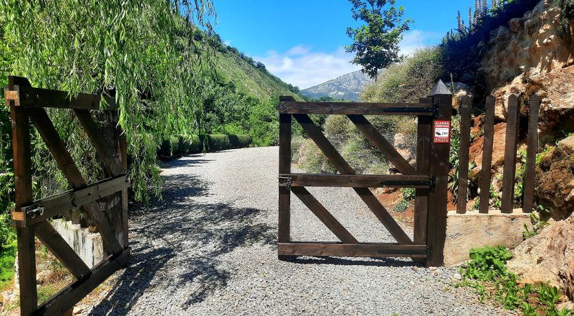 Photo of The Starwatcher