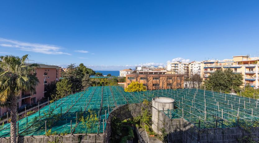 Photo of Seeing Love