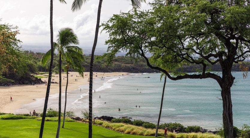 Photo of Surfside Reverie