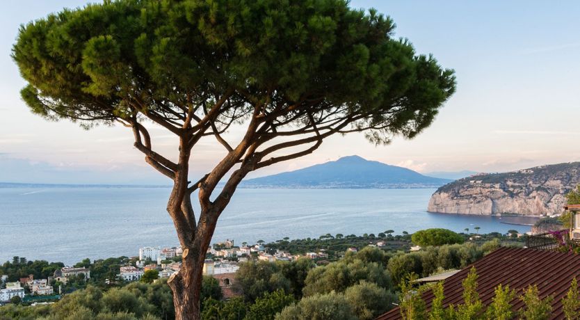 Photo of Sorrento Simplicity