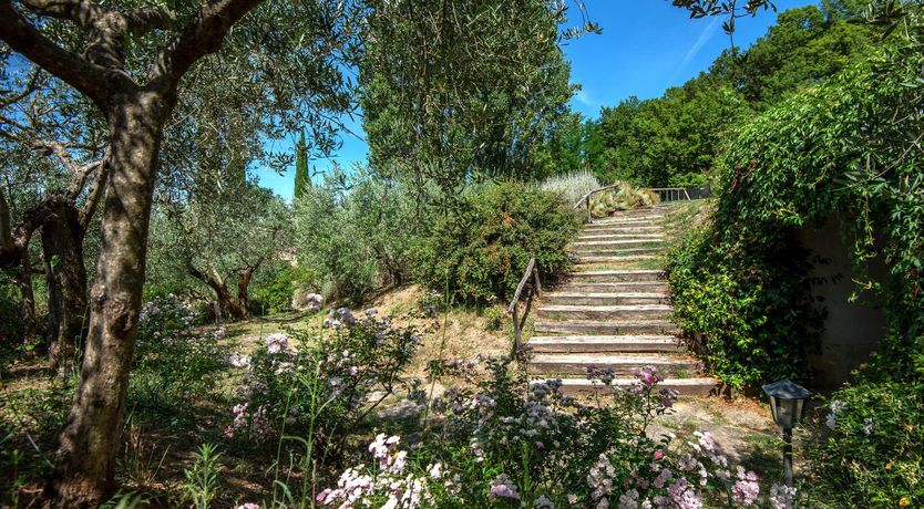 Photo of Lavender, Basil & Rosemary