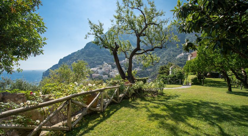 Photo of Citrus Sunshine