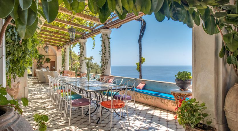 Photo of Citrus Sunshine