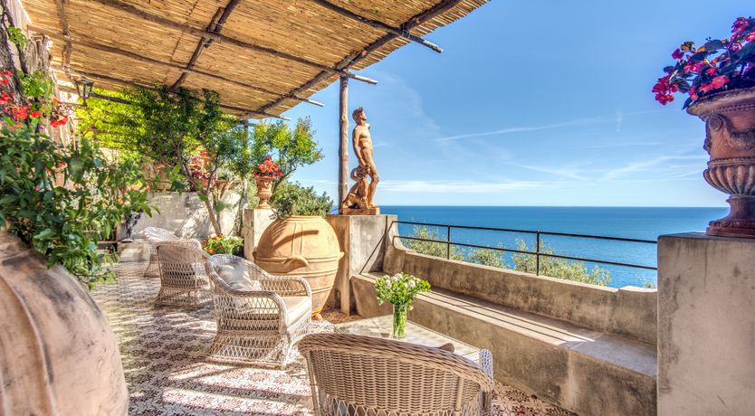 Photo of Citrus Sunshine