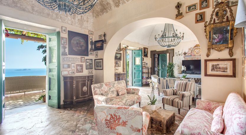 Photo of Citrus Sunshine