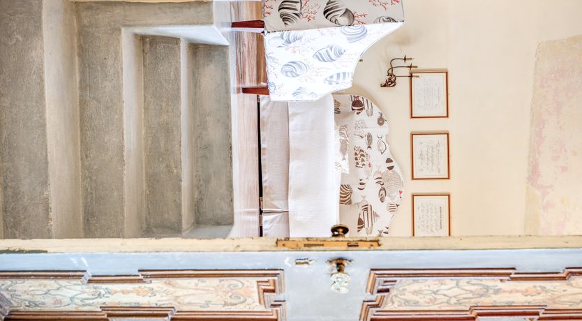 Photo of Citrus Sunshine