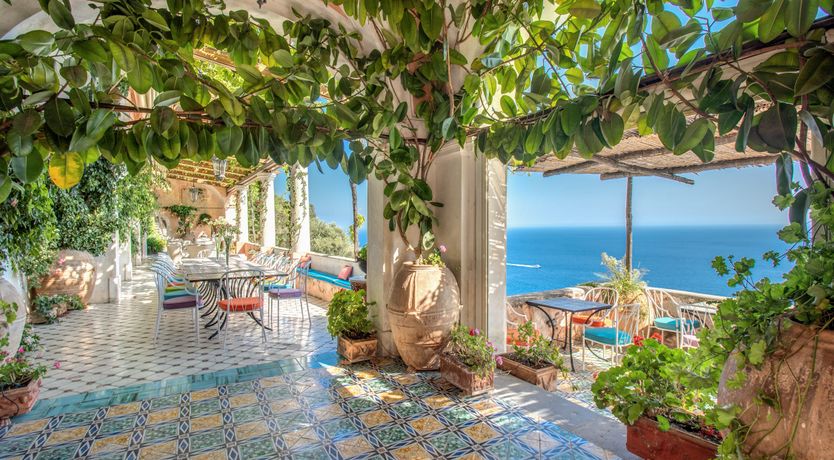 Photo of Citrus Sunshine